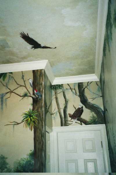 scene above the cat
