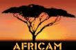 africam logo