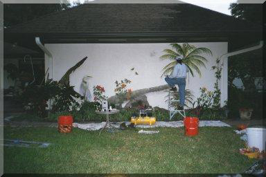 In The Backyard, trompe l'oeil mural