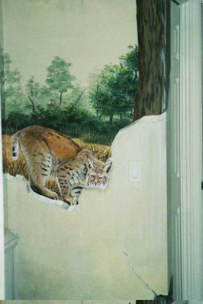 Florida Bobcat