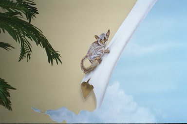 trompe l'oeil bushbaby closeup