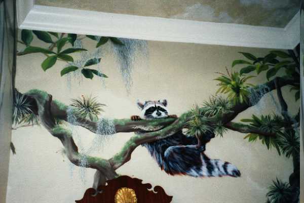 Swingin Racoon