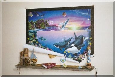 Art Effects'Trompe L'oeil Murals