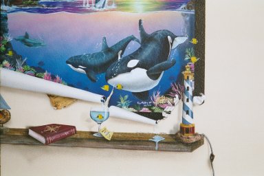 Art Effects' Trompe L'oeil Murals